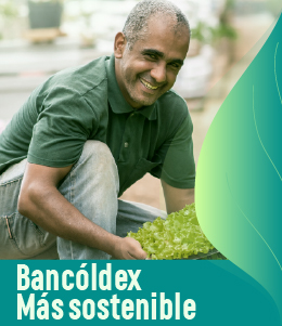 Estrategia de Sostenibilidad 2022-2026 Estrategia de Sostenibilidad 2022-2026