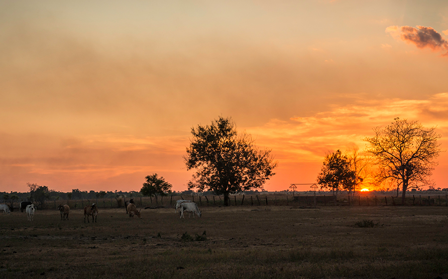 Cierre vía al llano, crédito
